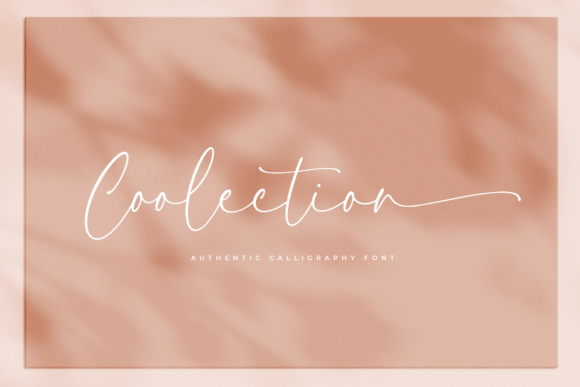 Coolection Font: Elevating Web Design with Modern Script